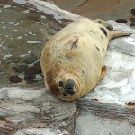 水族館